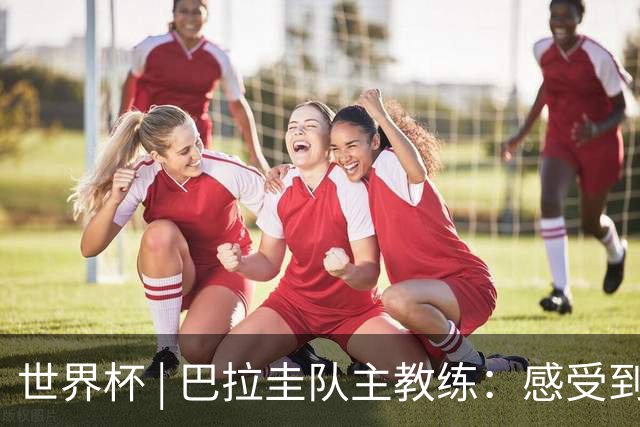 世界杯 | 巴拉圭队主教练：感受到比赛的极致压力