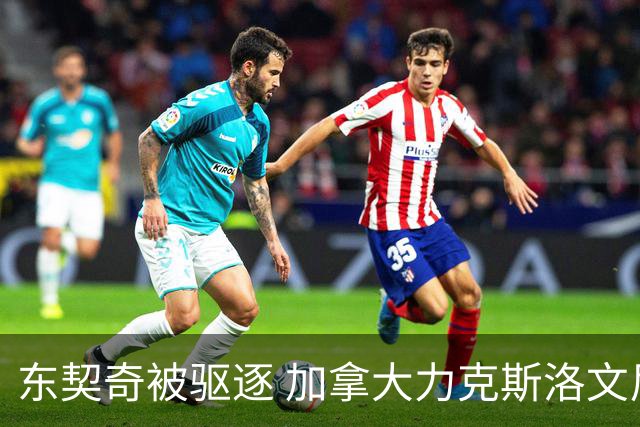 东契奇被驱逐 加拿大力克斯洛文尼亚晋级四强